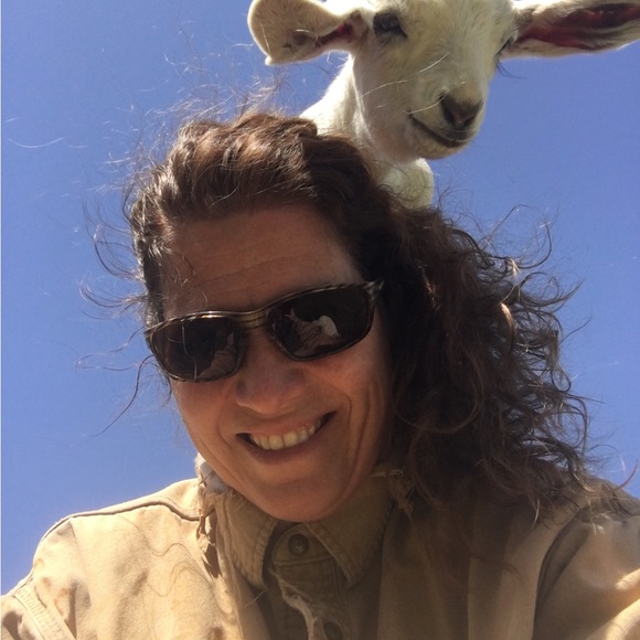 Meet your Posher, the Old Goat - Picture 8 of 13